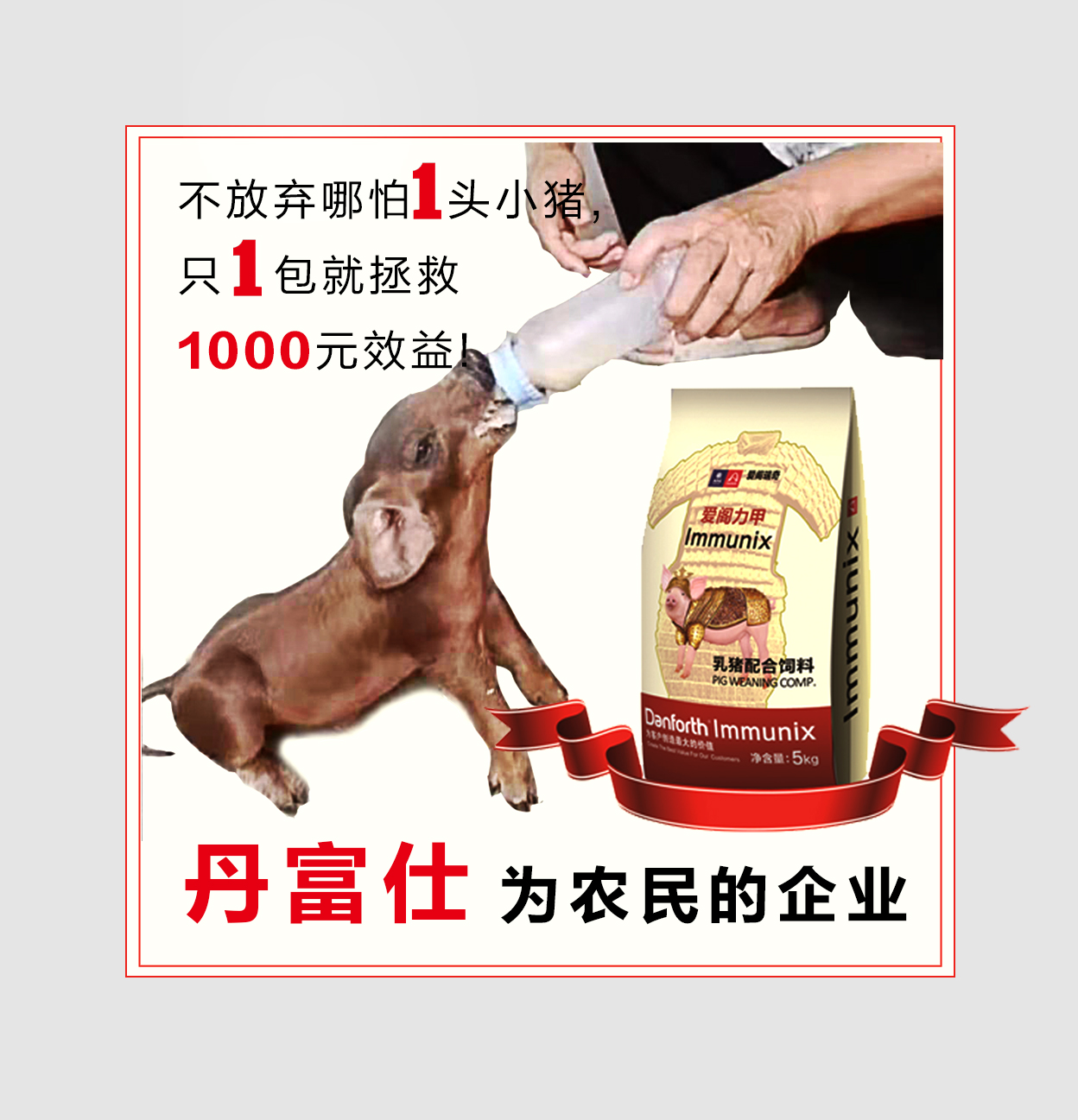 爱阁力甲宣传稿.jpg